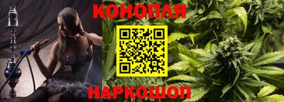 дмт Будённовск