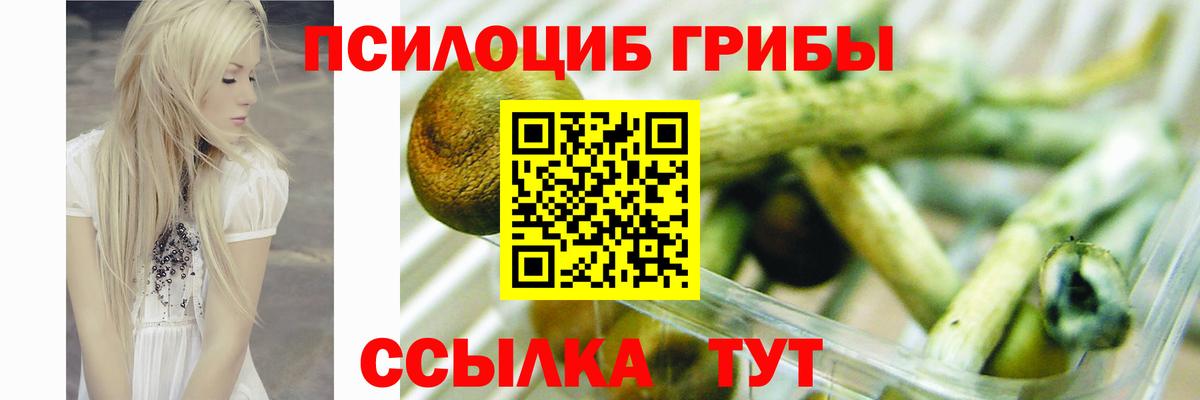 Псилоцибиновые грибы GOLDEN TEACHER  Вход с VPN  Новочеркасск 